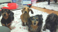 集合写真☆彡 2009/10/04 09:30:31