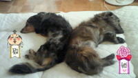 仲良し^ー^)人(^ー^ 2009/10/06 14:06:58