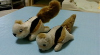 世代交代　？ 2009/10/21 21:25:01