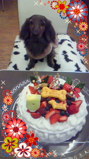 誕生日 2009/12/24 21:45:32