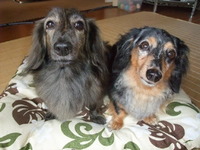 平和な木曜(^-^) 2009/09/25 07:12:41