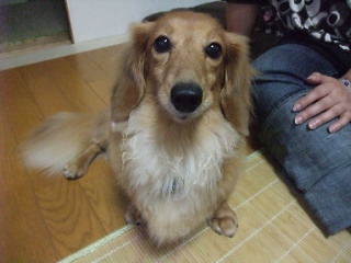 平和な木曜(^-^)