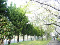 イベント『絆と新緑と展』ご案内 2011/04/14 12:10:26