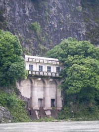 この花なあに？川へ。。。