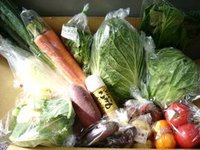 野菜セット 2010/01/26 13:33:32