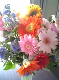 お花 2009/09/18 11:45:47