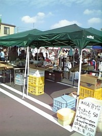 中間報告 2009/11/01 12:30:54