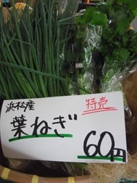 葉ネギ 2010/06/22 17:44:45