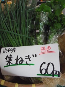 葉ネギ