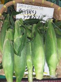 美味しいとうもろこし 2010/06/29 17:47:56