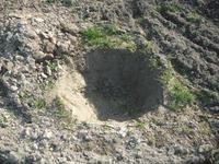 畑の穴 2010/02/06 11:31:35