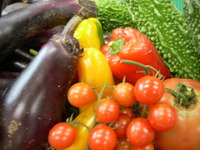 お野菜不足でもがんばるぞ 2009/08/17 11:03:40