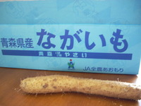 今日のお買い得（８/２５） 2009/08/25 15:39:16
