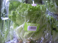 今回お買い得（9/29) 2009/09/29 18:30:37
