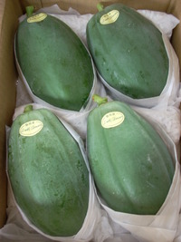 変わったお野菜 2009/10/26 12:59:57