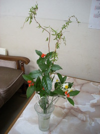 お正月のお花 2009/12/11 15:14:03