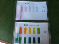 水質調査