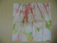 ブラジルの朝市で売られている作品 2009/04/23 17:23:57