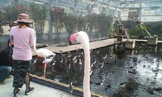 掛川花鳥園