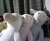 生後39日 2010/05/09 22:27:04