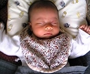 生後41日 2010/05/11 08:47:33