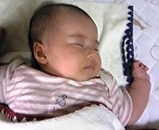 生後80日 2010/06/19 14:22:51