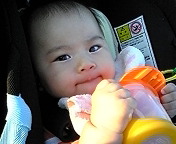 今日の散歩 2010/10/13 16:46:10
