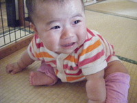 おすわり 2010/09/29 19:48:57