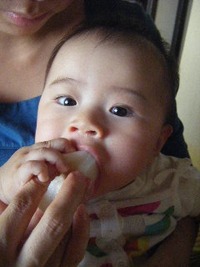 梨うまし！ 2010/10/11 22:20:43