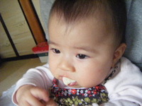 せんべい食べたぜぃ 2010/10/19 13:32:55