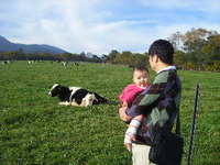牛 2010/10/23 16:54:14