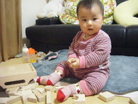 積木 2010/11/11 21:43:22
