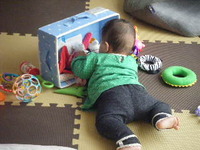 おもちゃ箱を物色中 2010/11/16 15:00:05