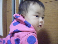 ドア 2010/12/06 19:09:05