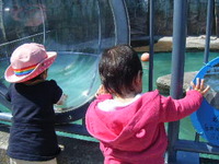 動物園にて 2011/03/30 21:22:11