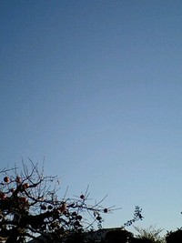 太陽エネルギー 2008/11/23 15:53:38
