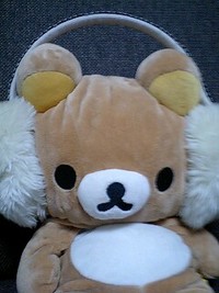 耳当て 2008/12/29 23:36:02