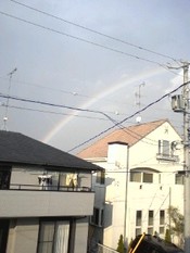 雨上がりの虹