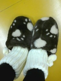 寒さ知らず 2009/01/08 16:16:07