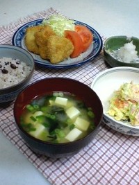 チキンカツ 2009/01/20 20:11:32