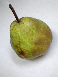 ラフランス 2009/01/21 16:13:45