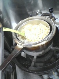 玄米 2009/04/19 19:53:26
