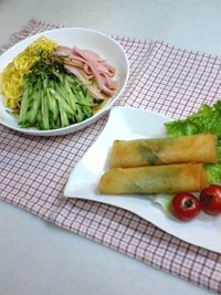 冷やし中華 2009/04/19 20:11:01