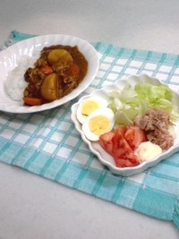 カレーライス 2009/05/01 20:16:15