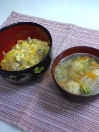 親子丼 2009/06/12 20:53:07