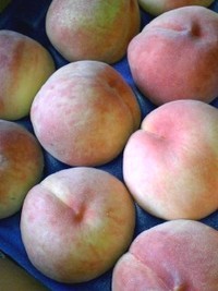 福島産桃 2009/08/08 08:52:01