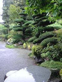 雨ですね… 2009/08/10 11:28:34
