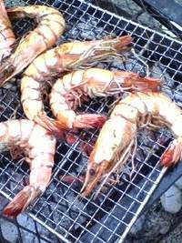 ＢＢＱ 2009/08/13 17:53:08