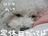 お休み 2009/08/29 07:00:00