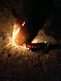 またまた今日も(^O^) 2008/09/28 05:05:39